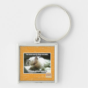 Three seconds key ring
