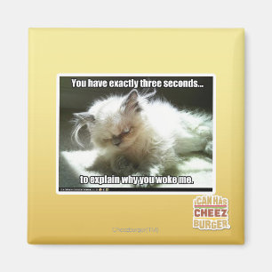 Three seconds magnet