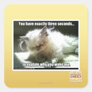 Three seconds square sticker