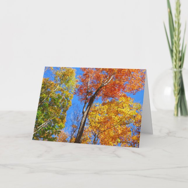Three Shades of Colourful Fall Maple Trees Card (Front)