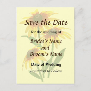 Three Shasta Daisies Save the Date Announcement Postcard