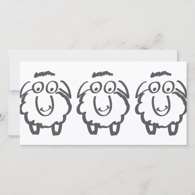 three sheeps (Front)
