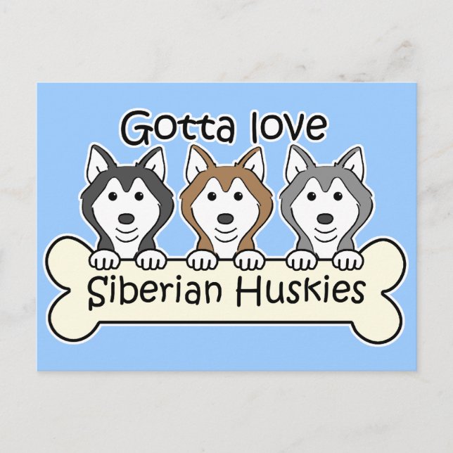 Three Siberian Huskies Postcard (Front)