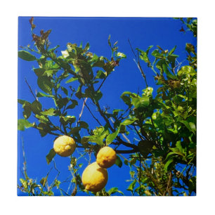 Three Sicilian Lemons Tile