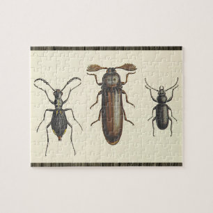Three Side-By-Side Insects Puzzle