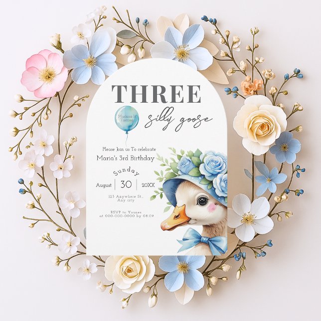 Three Silly Goose Boy 3rd Birthday  Invitation (Creator Uploaded)