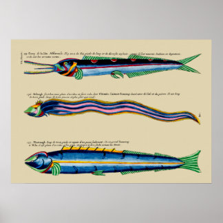 Three Skinny Fish on Any Background Poster