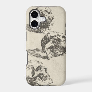 Three Skulls