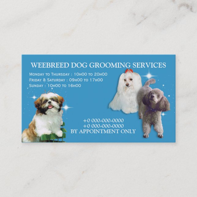 Three small dogs on blue white dog grooming business card (Front)