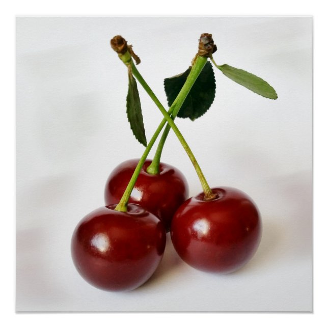 three sour cherries poster (Front)