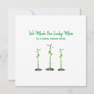Three Spiralled Lucky Bamboo We Moved Announcement