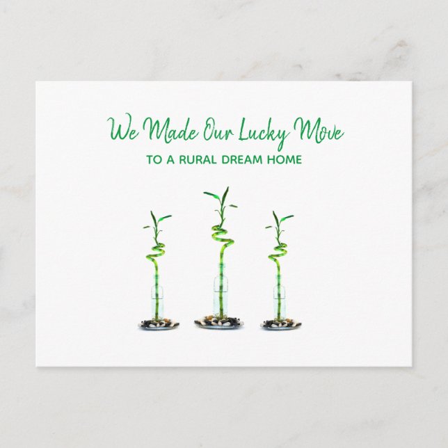 Three Spiralled Lucky Bamboo We Moved Announcement Postcard (Front)