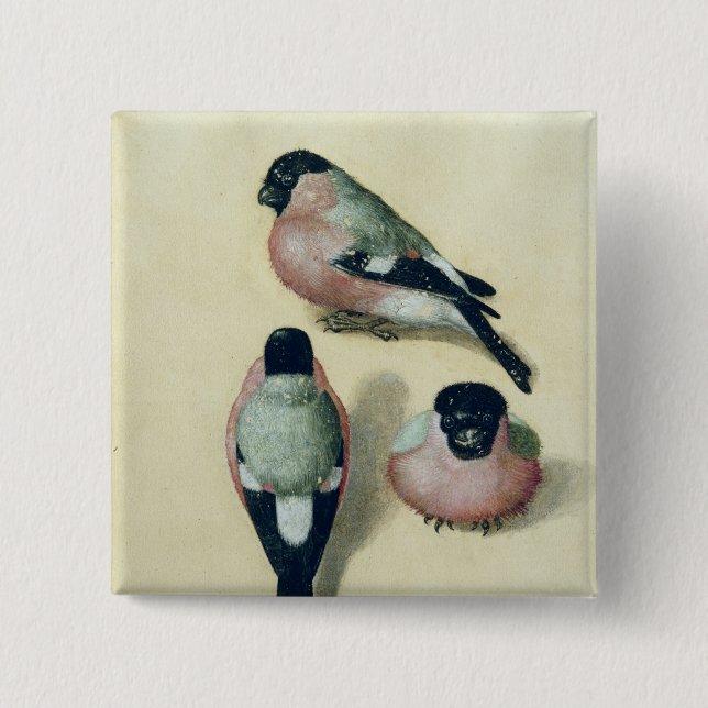 Three studies of a bullfinch 15 cm square badge (Front)