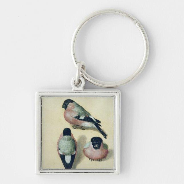 Three studies of a bullfinch key ring (Front)