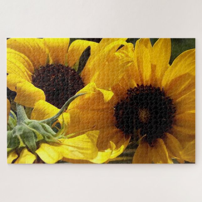 Three Sunflowers Botanical Art Photography Jigsaw Puzzle (Horizontal)