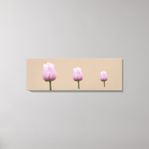 Three Tall Tulips Canvas Print