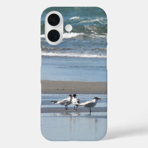 Three Terns on a Beach iPhone 16 Case