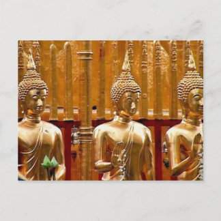 Three Thailand Buddhas Postcard