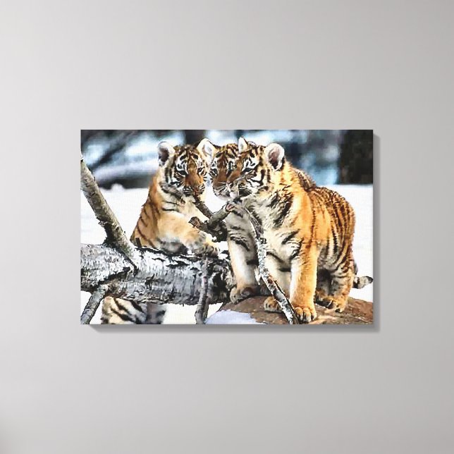 Three Tiger Cubs At Play Canvas Print (Front)