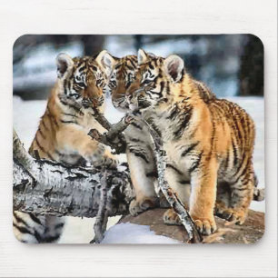 Three Tiger Cubs In Snow Art Gifts Mouse Mat