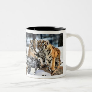Three Tiger Cubs In Snow Art Gifts Two-Tone Coffee Mug