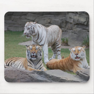 Three Tigers Mouse Mat