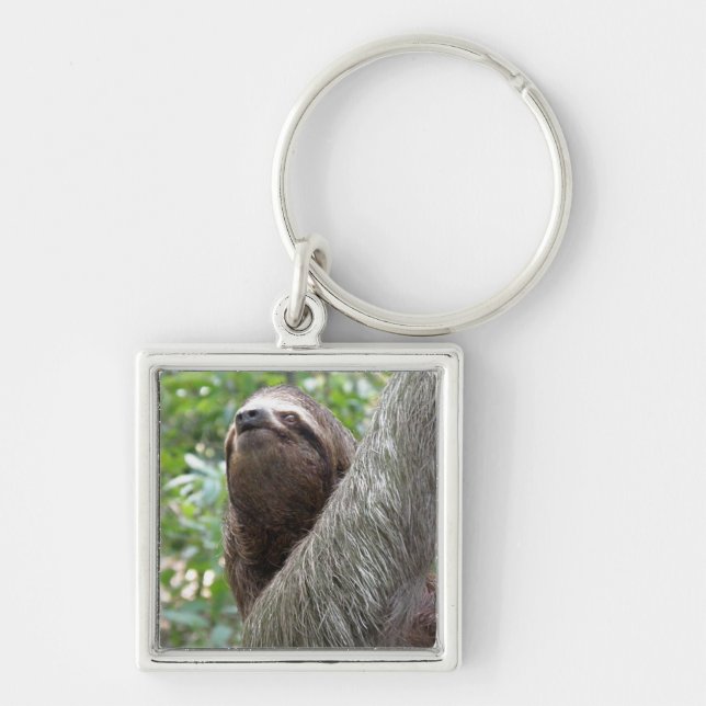 Three Toed Sloth Keychain (Front)