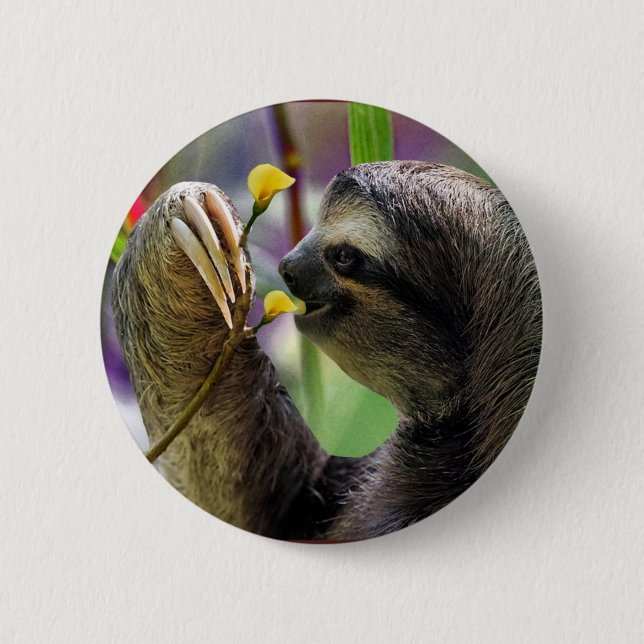 Three-Toed Tree Sloth 6 Cm Round Badge (Front)