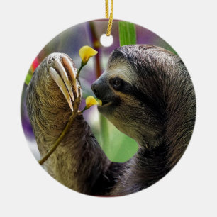 Three-Toed Tree Sloth Ceramic Tree Decoration