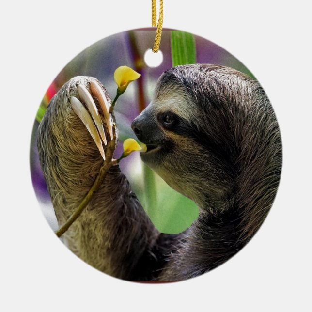 Three-Toed Tree Sloth Ceramic Tree Decoration (Front)