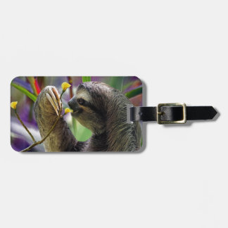 Three-Toed Tree Sloth Luggage Tag