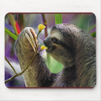 Three-Toed Tree Sloth Mouse Mat