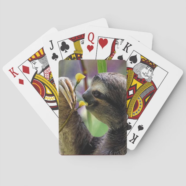 Three-Toed Tree Sloth Playing Cards (Back)