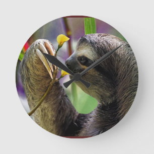 Three-Toed Tree Sloth Round Clock