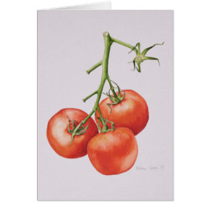Three Tomatoes on the Vine 1997
