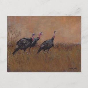 Three Toms Wildlife Art Postcard
