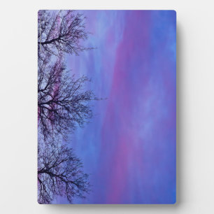 Three Tree Tops Plaque