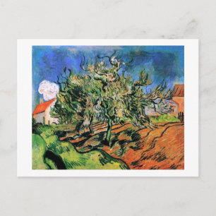 Three Trees and a House Van Gogh Fine Art Postcard