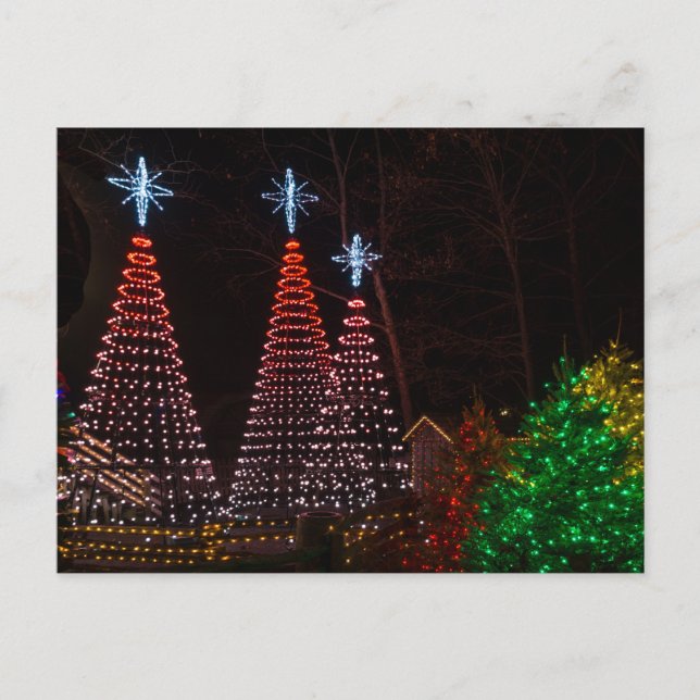 Three Trees At Midtown Postcard (Front)