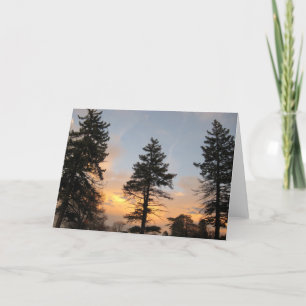 Three Trees at Winter Sunset Holiday Card