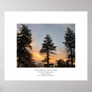 Three Trees at Winter Sunset Poster