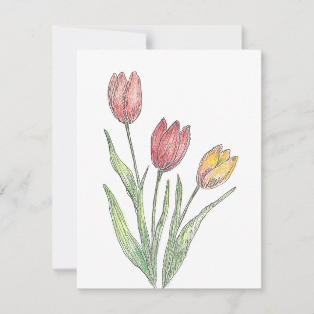 Three Tulips Coloured Pencil, Pen & Ink Sketch Card (Front)