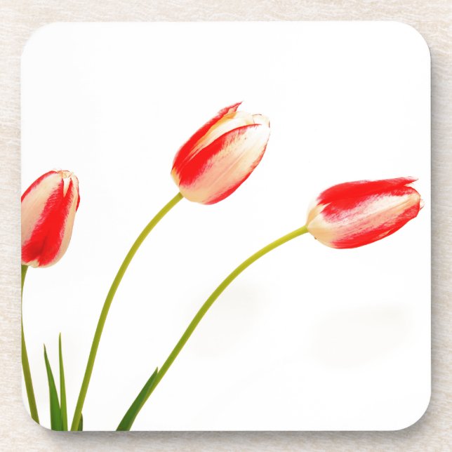 Three Tulips on white  Coaster (Front)