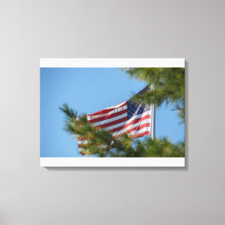 Three USA mini flags Canvas Print