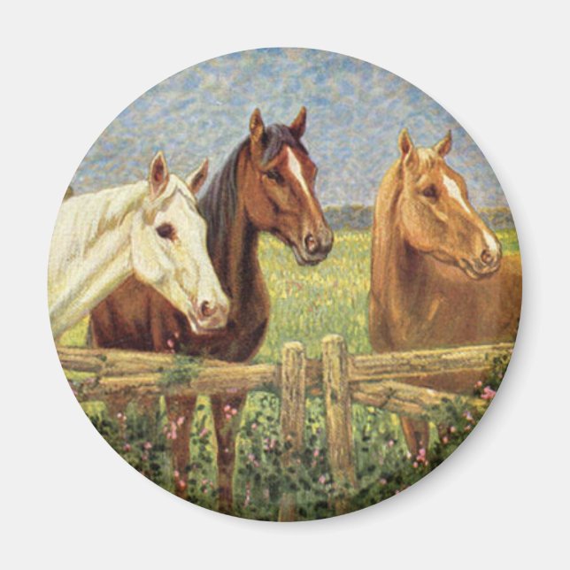 Three Vintage Horses Magnet (Front)