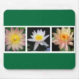 Three Water Lilies Filmstrip Mouse Mat