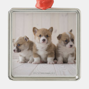 Three Welsh Corgi Metal Tree Decoration