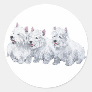 Three West Highland White Terriers Classic Round Sticker