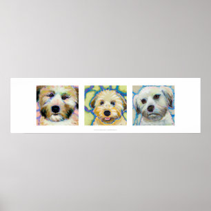 Three Wheaten Terrier paintings fun cute dog art Poster