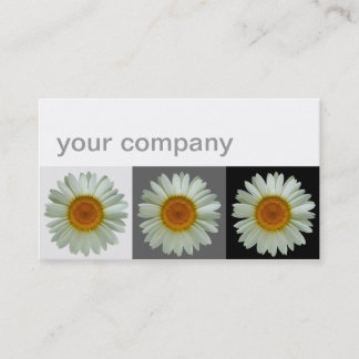 Three White Daisies Modern Floral Business Card